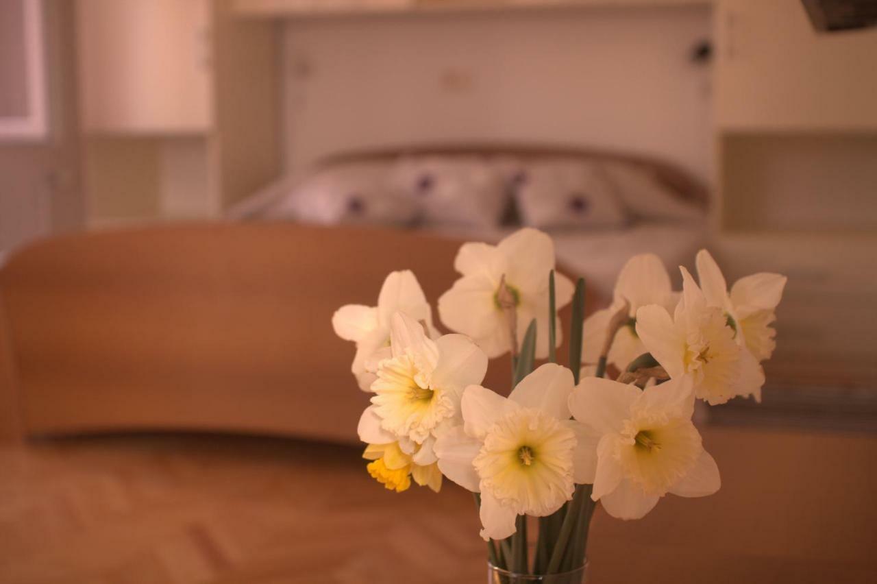 Apartments Katarina Porat Malinska Extérieur photo